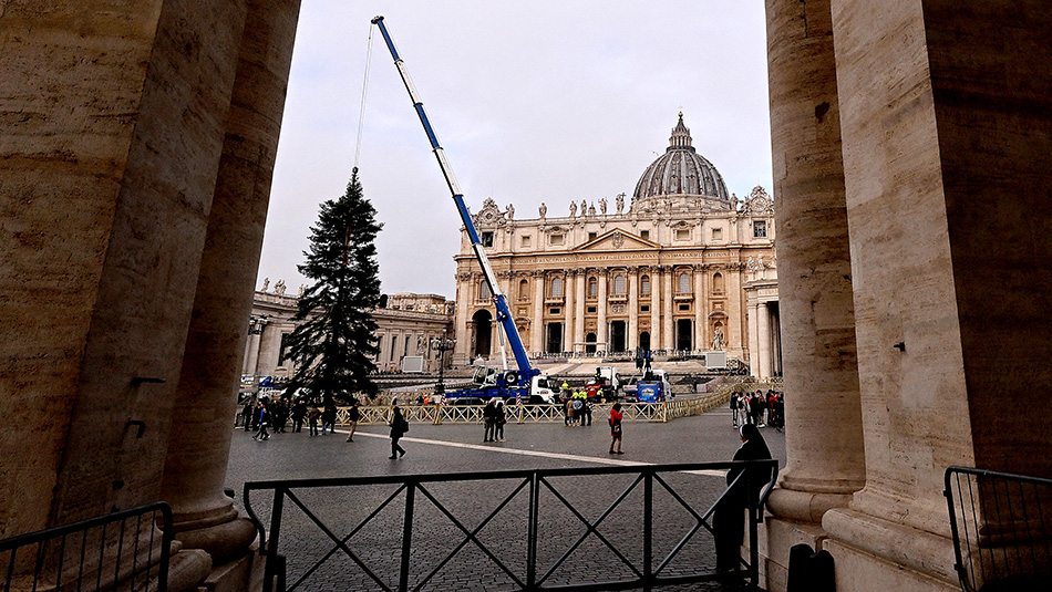 Vatikán-karácsonyfa-AFP.jpg